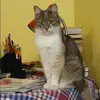 Отзыв от Таисия Малинина